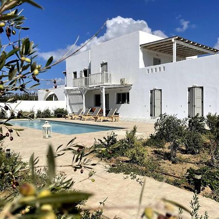 White Pearl Villa Naxos With Private Swimming Pool Naxos City Eksteriør billede