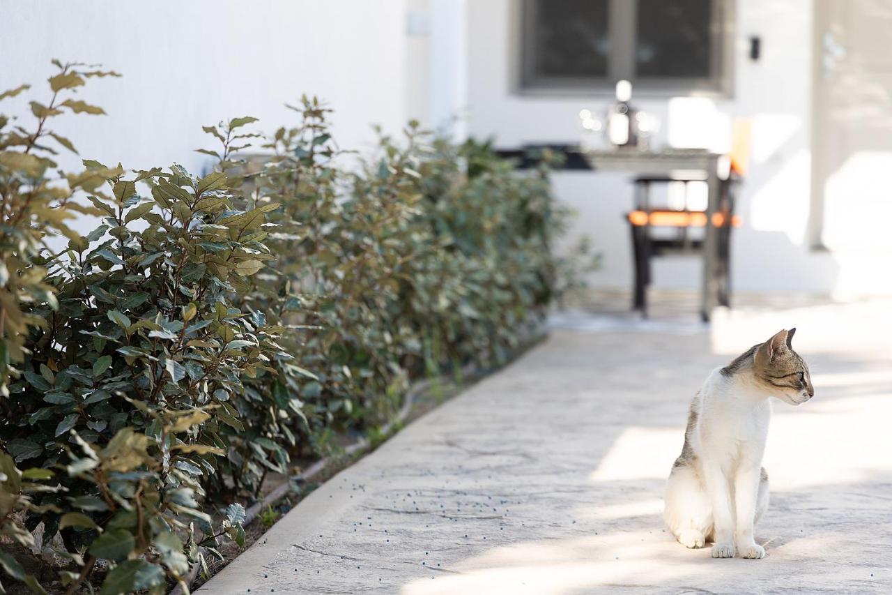 White Pearl Villa Naxos With Private Swimming Pool Naxos City Eksteriør billede